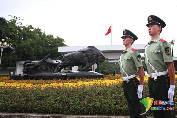 武警院校改革动态详解，最新动态与详细步骤指南